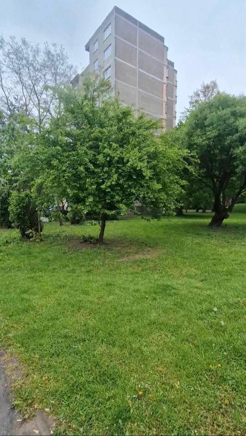 Property building, Natural landscape