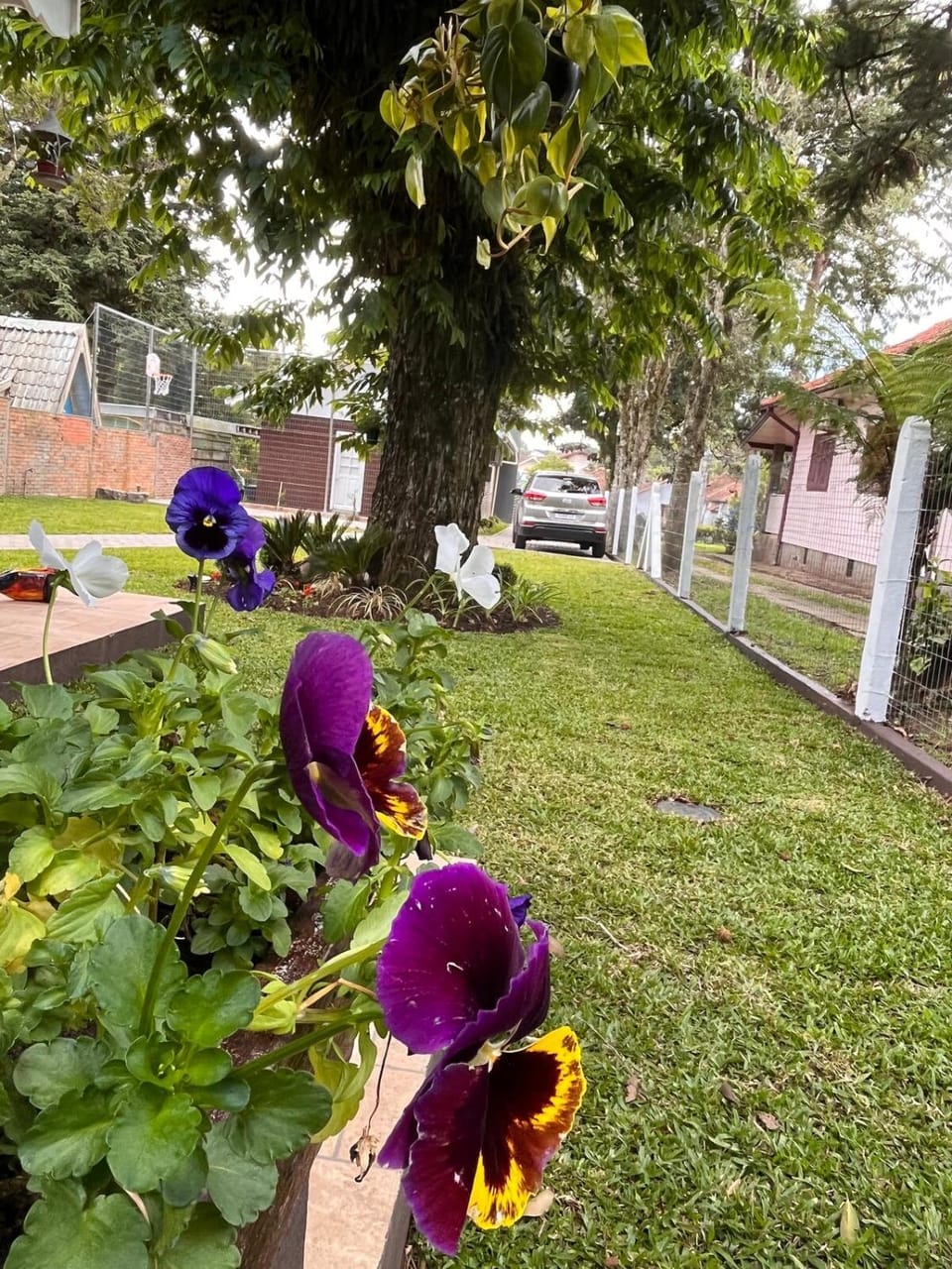 Chalé próximo ao Centro de Gramado Chalet in Gramado