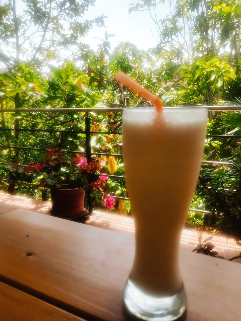 Day, Garden, Drinks