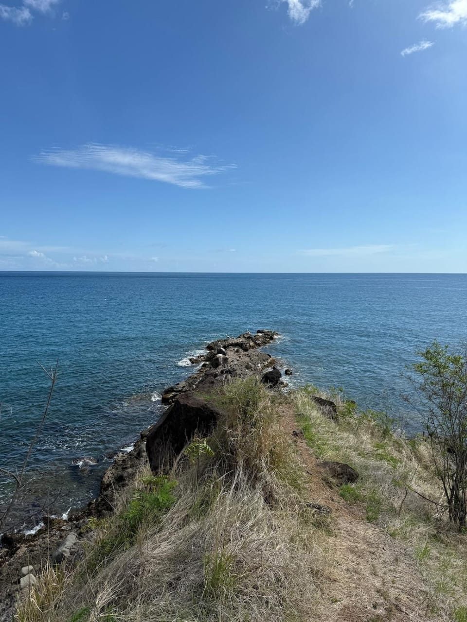 Zabitant Lodge House in Leeward Islands