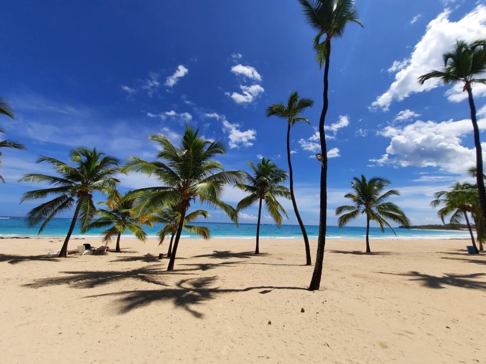 Beach, Beach