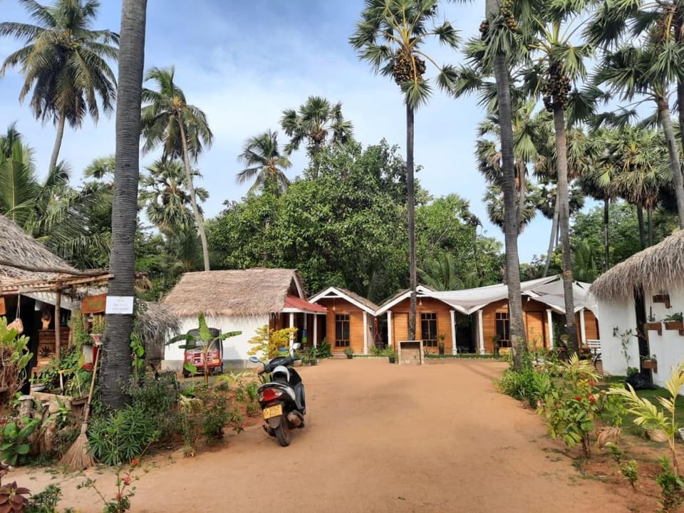 Bliss Cabana Hostel in Sri Lanka
