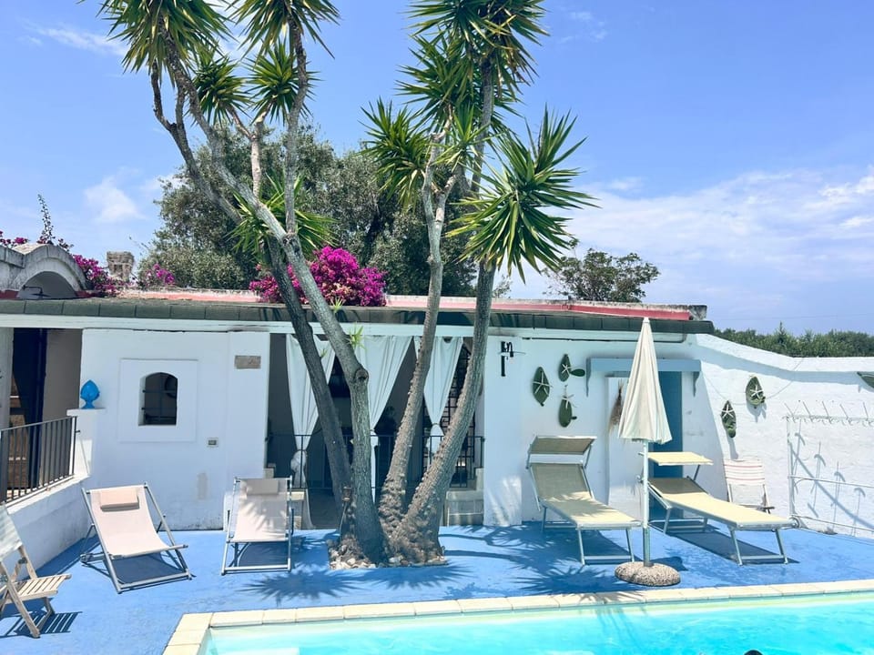 Pool view, Swimming pool, sunbed