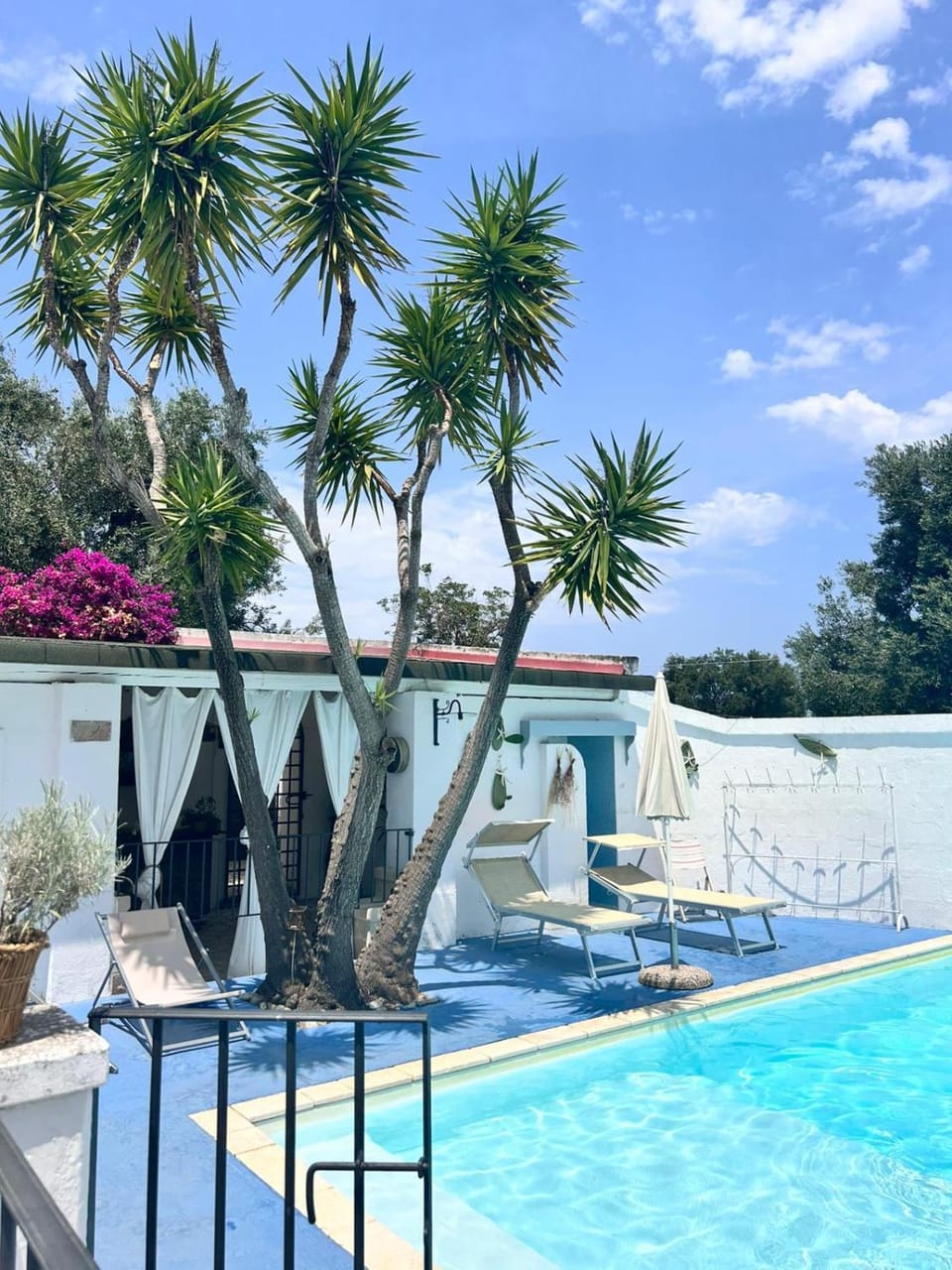 Pool view, Swimming pool, sunbed