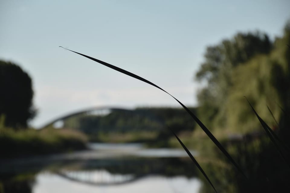 River view