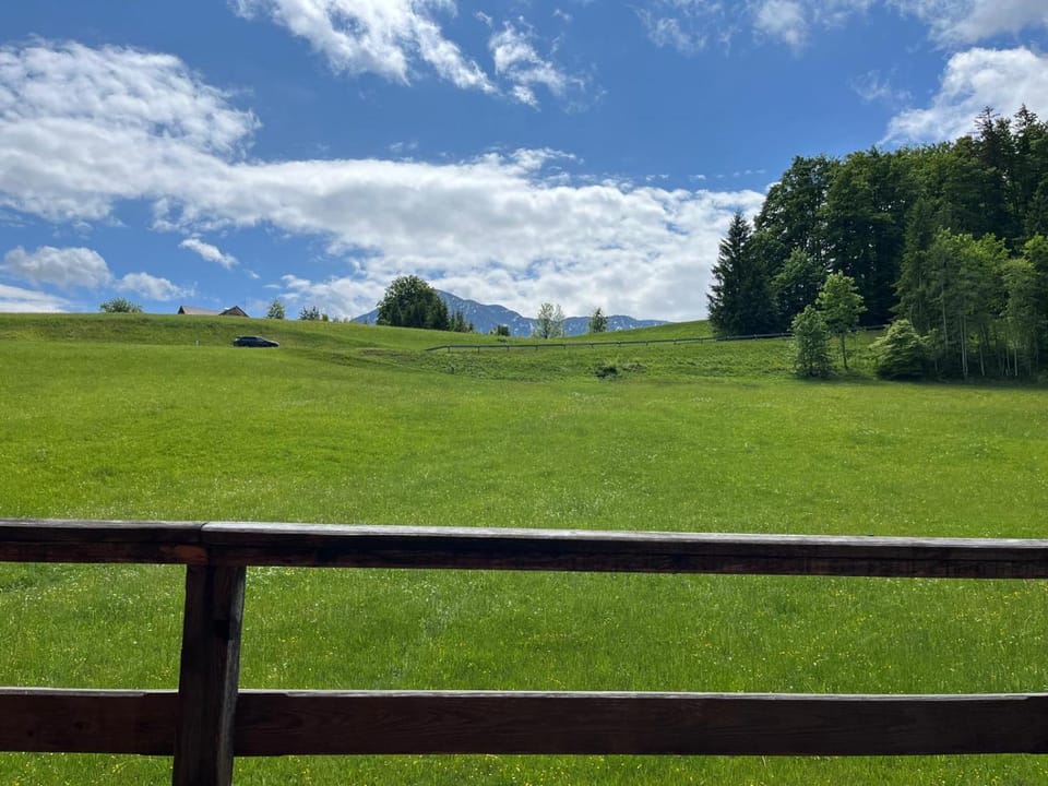 HIASN Haus House in Bad Aussee