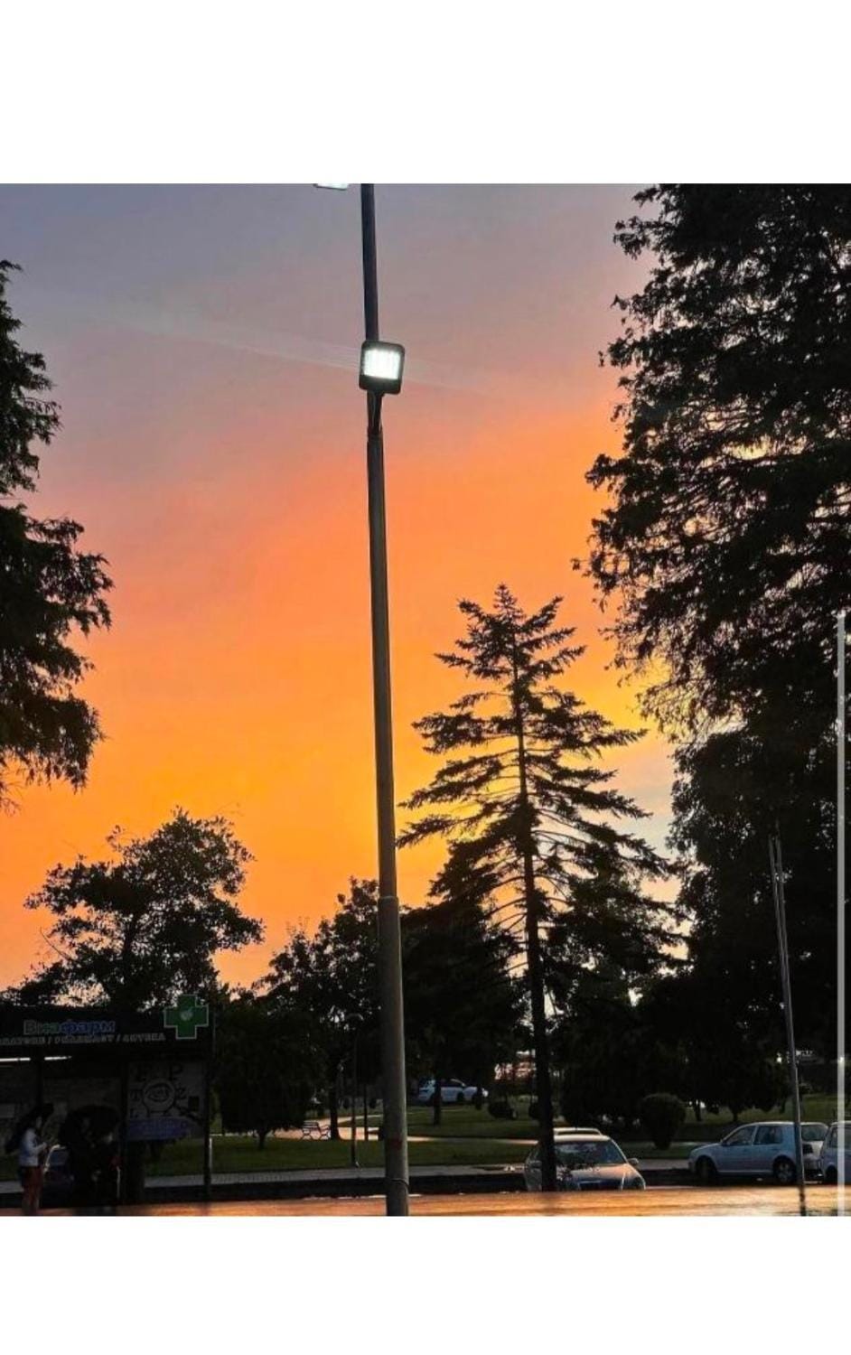 Villa STRUGA Apartment in Municipality of Ohrid, North Macedonia