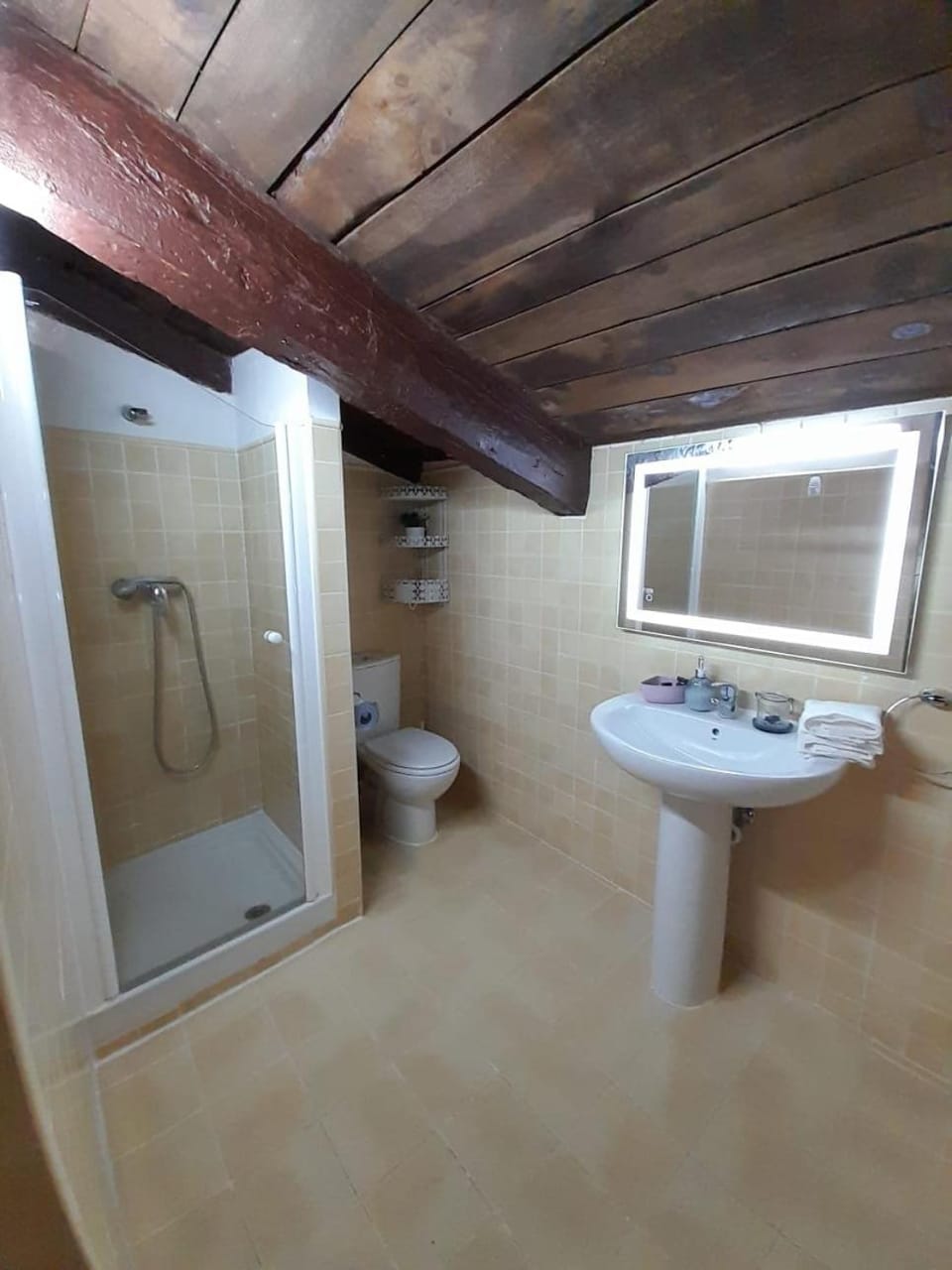 Shower, Bathroom