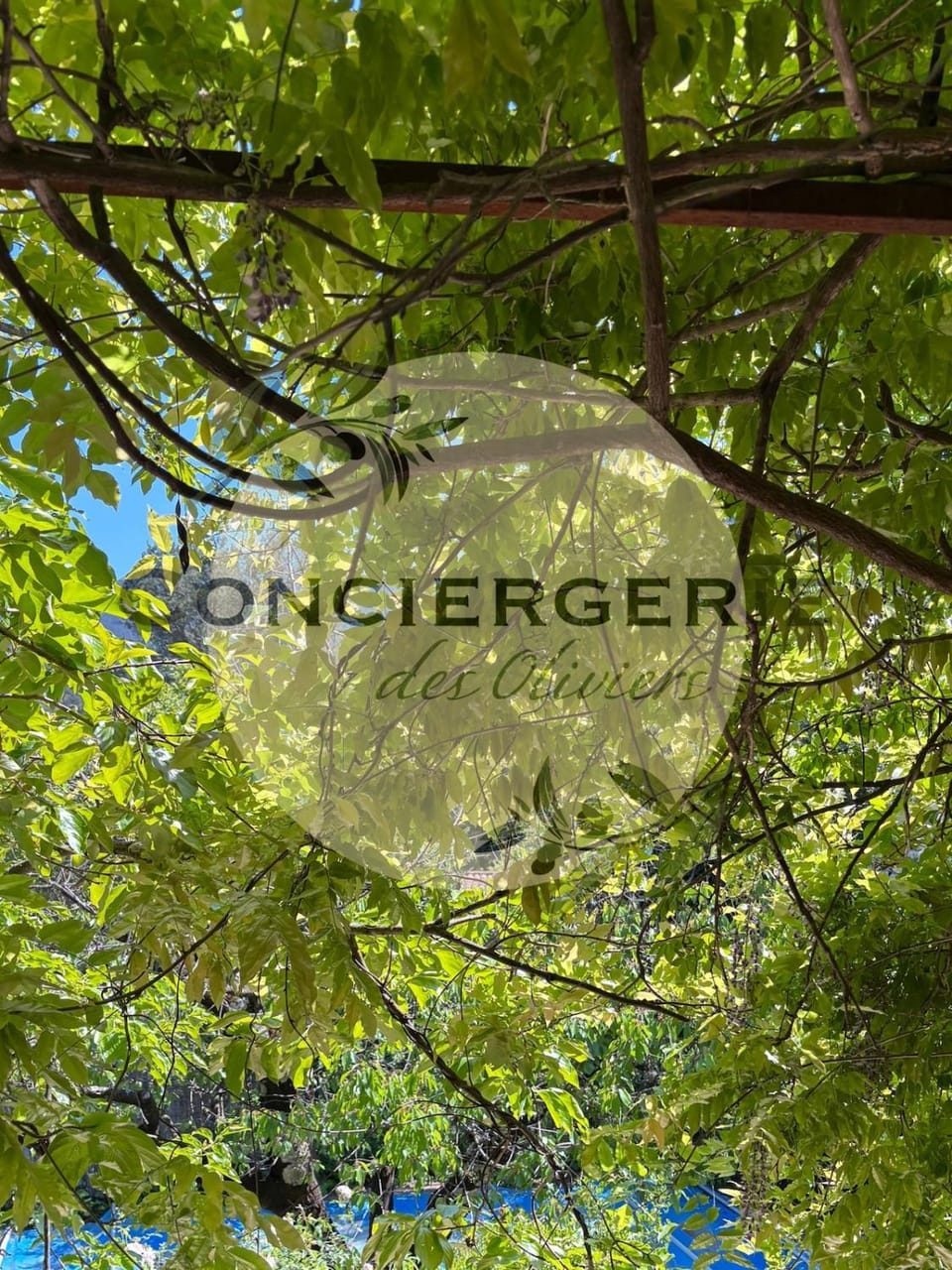 Maison provençale avec piscine House in Solliès-Toucas