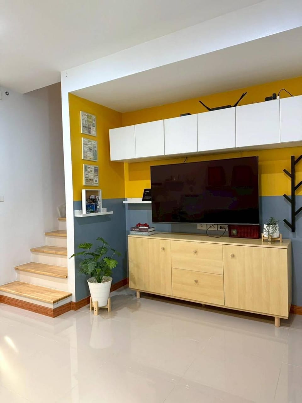 TV and multimedia