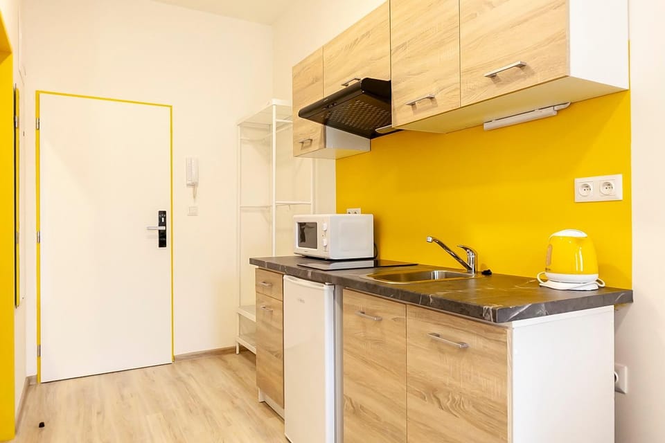 Útulné studio v centru města Apartment in Brno