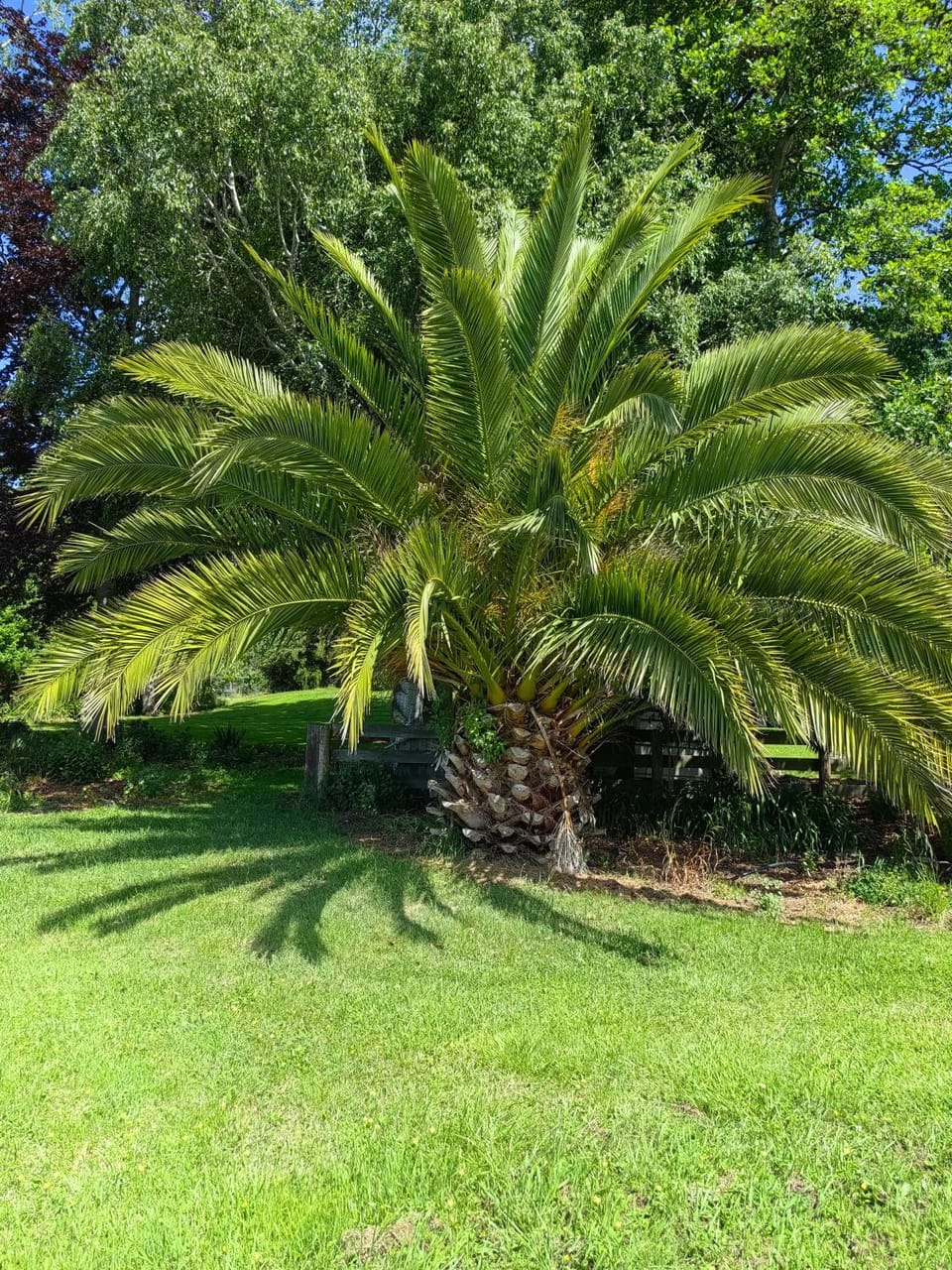 Natural landscape, Garden view