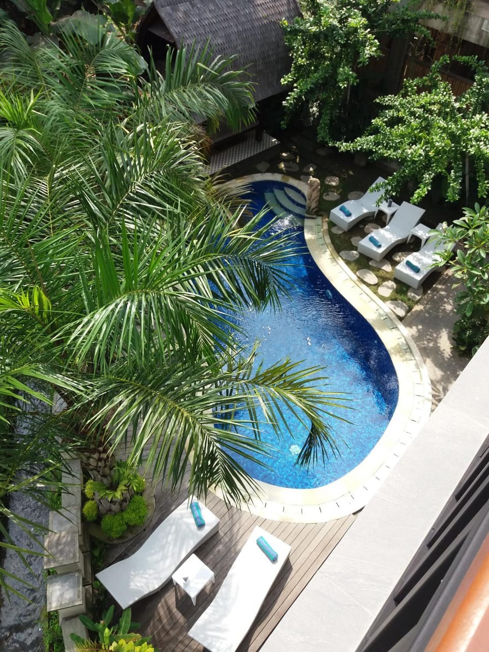 Garden, Garden view, Pool view, Swimming pool, sunbed
