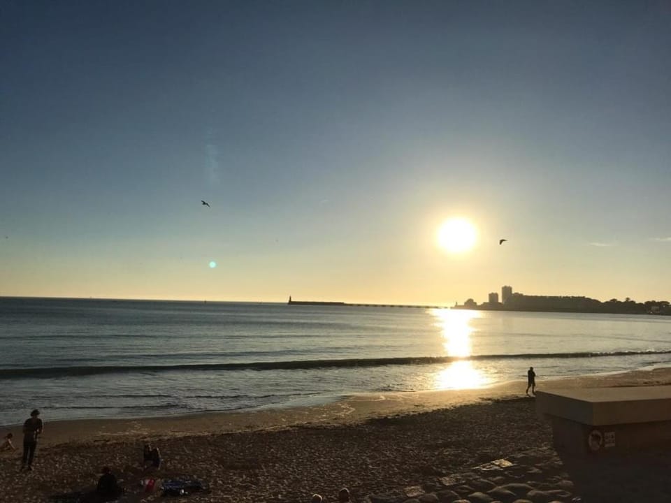 Natural landscape, Beach, Sunrise