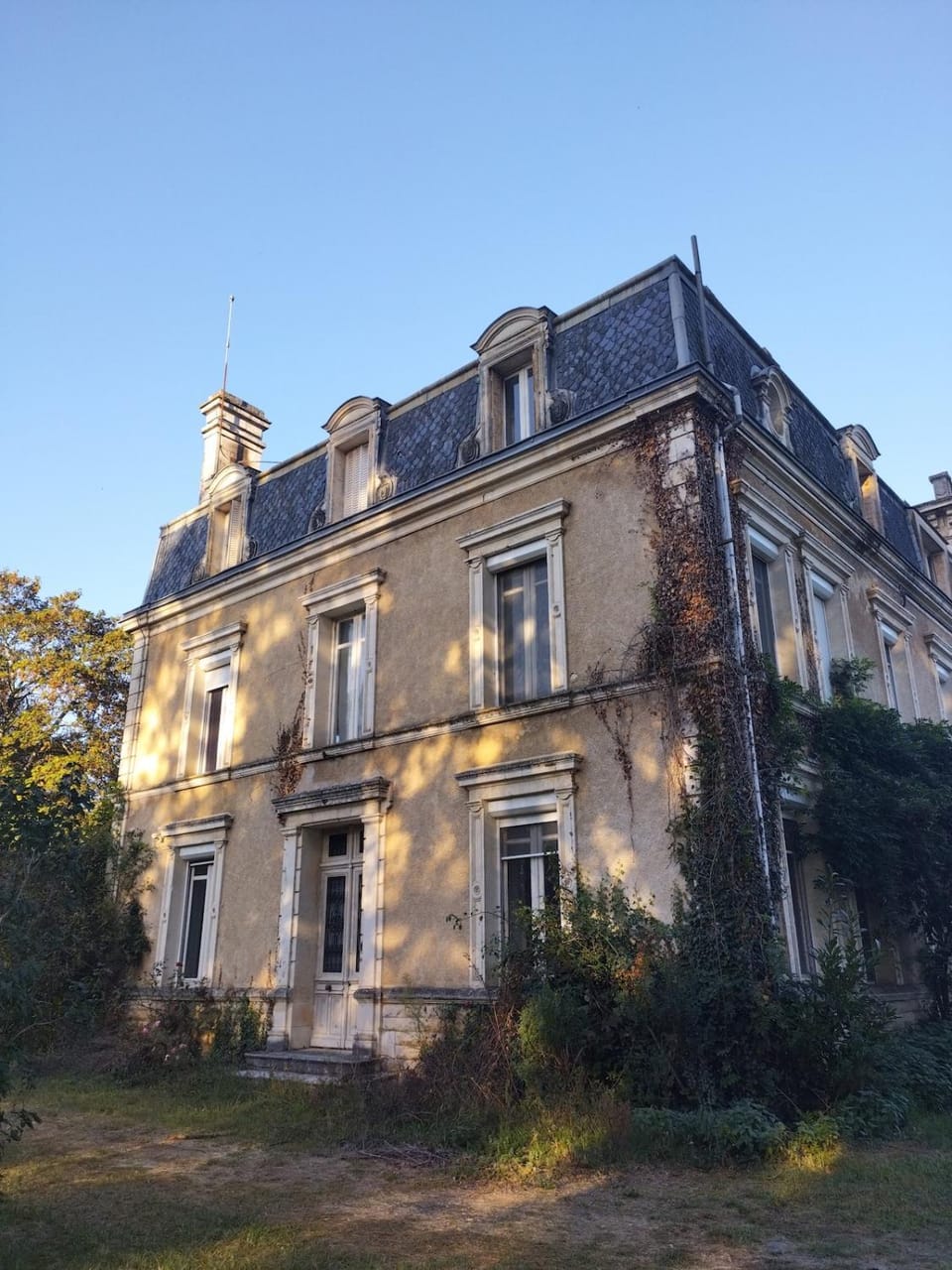 Property building