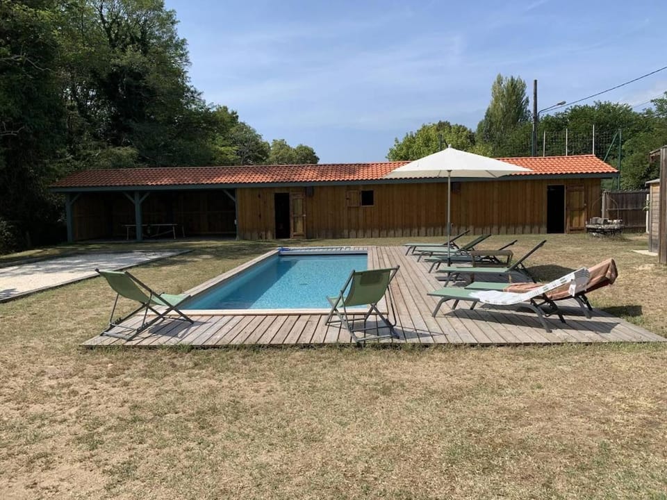 Spring, Day, Garden, Garden view, Swimming pool, sunbed