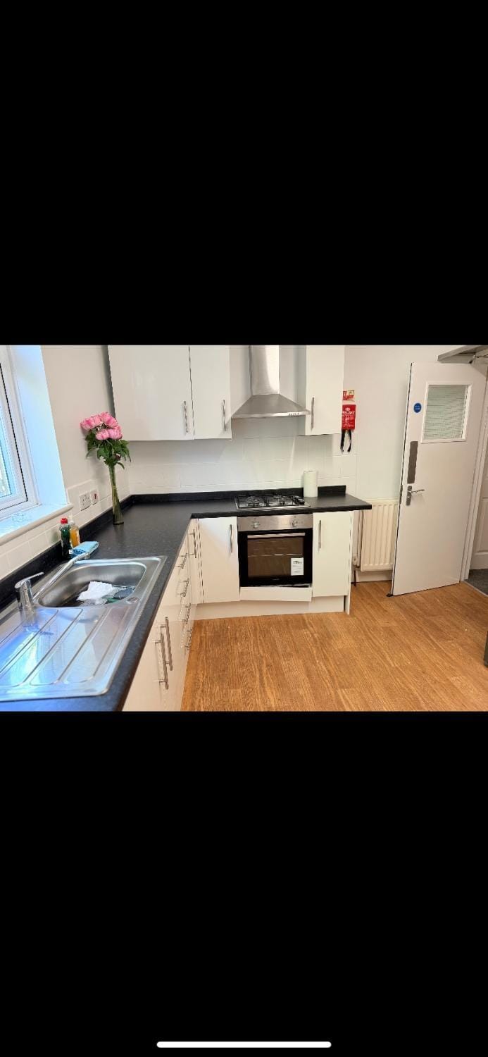 Kitchen or kitchenette, oven