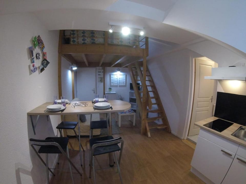 Studio mezzanine des Eaux Vives Apartment in Pau