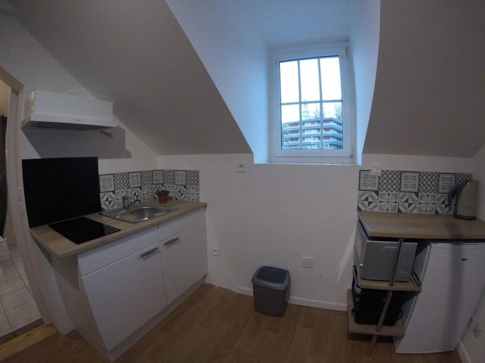 Studio mezzanine des Eaux Vives Apartment in Pau