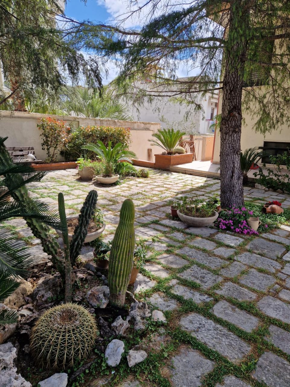B&B - Riflessi d'Apulia Apartment in Province of Taranto