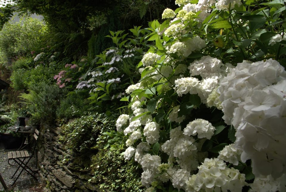 Balcony/Terrace, Garden view