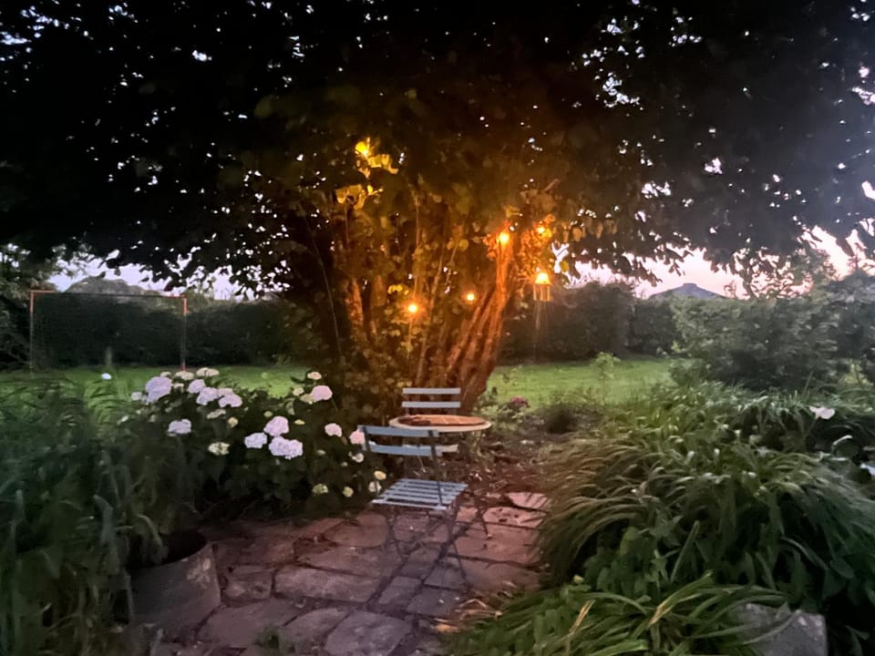 Garden view