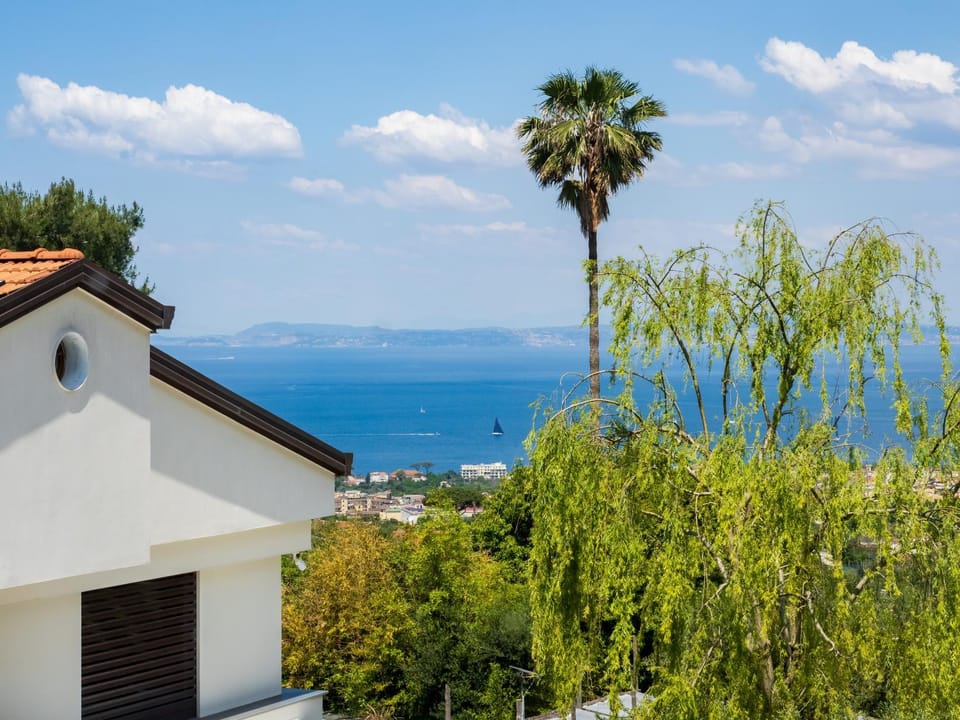 Spring, Day, City view, Garden view, Mountain view, Sea view