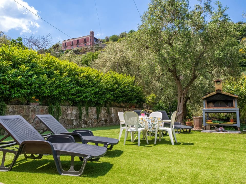 Day, Garden, Mountain view, sunbed