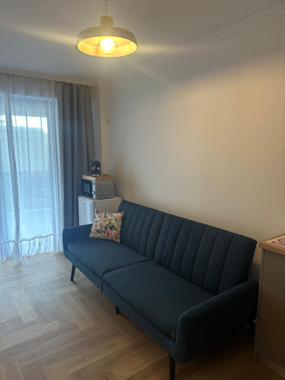 Living room, microwave, minibar