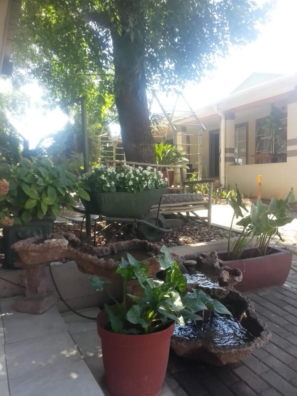 Property building, Garden view