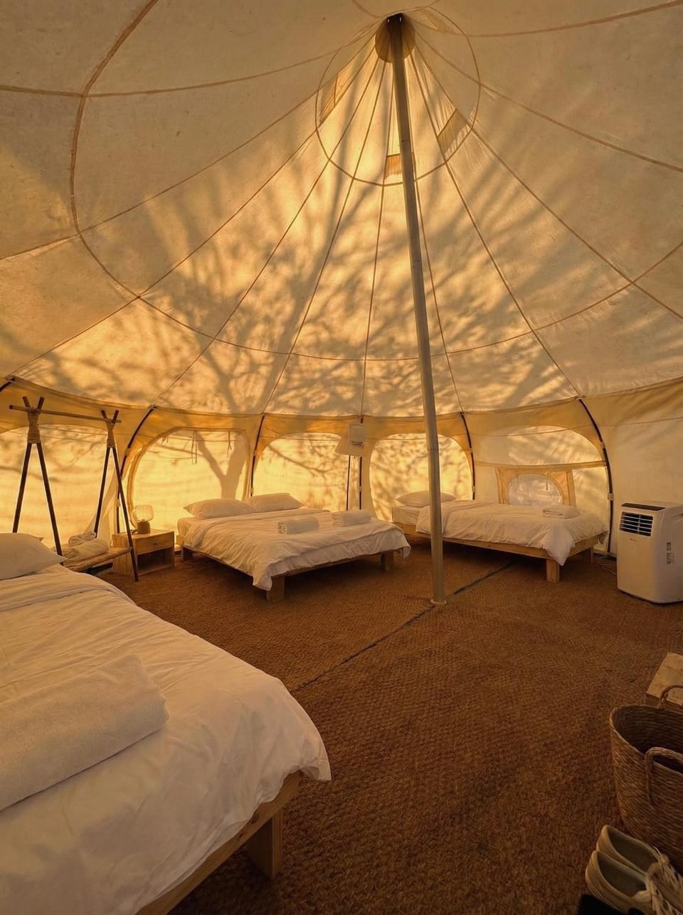 Bed, Photo of the whole room