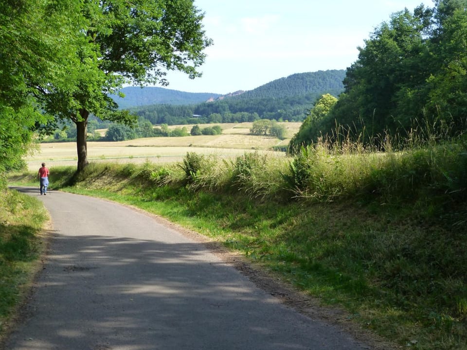 Natural landscape
