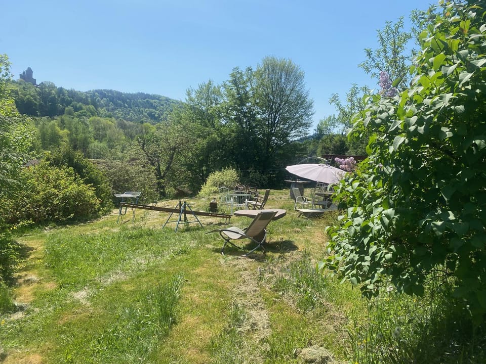 Garden view