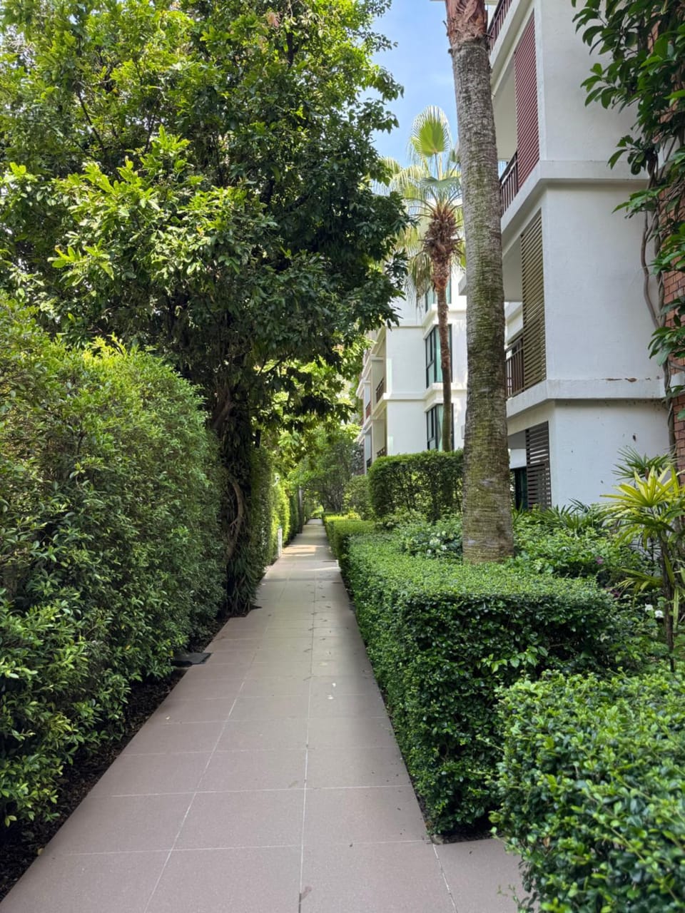 Property building, Garden view