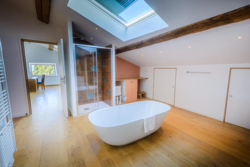 Très bel hôtel particulier avec loft et salle de séminaire House in Provence-Alpes-Côte d'Azur