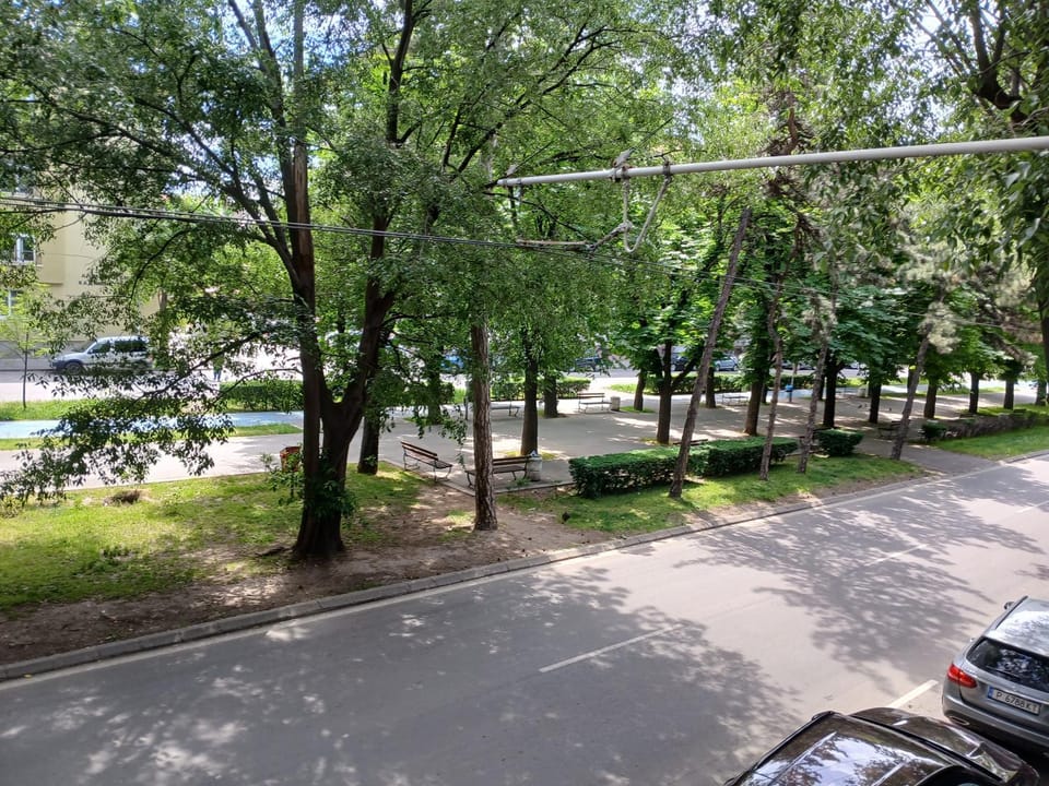Garden, Street view