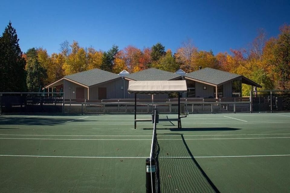 Tennis court, Tennis court