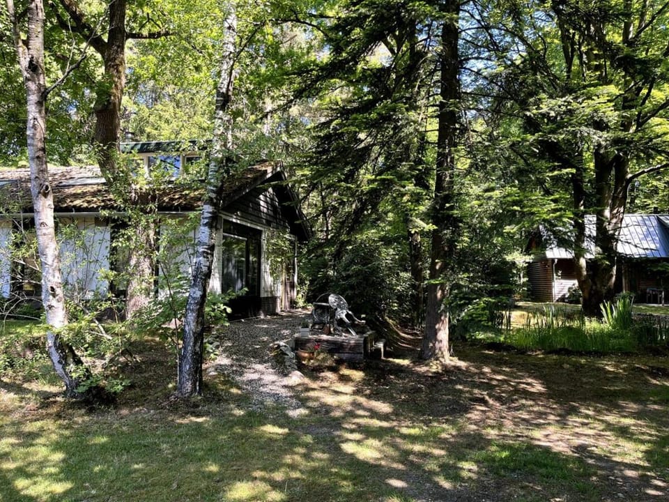 Cozy house in the middle of nature House in Epe