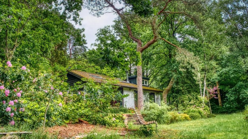 Cozy house in the middle of nature House in Epe
