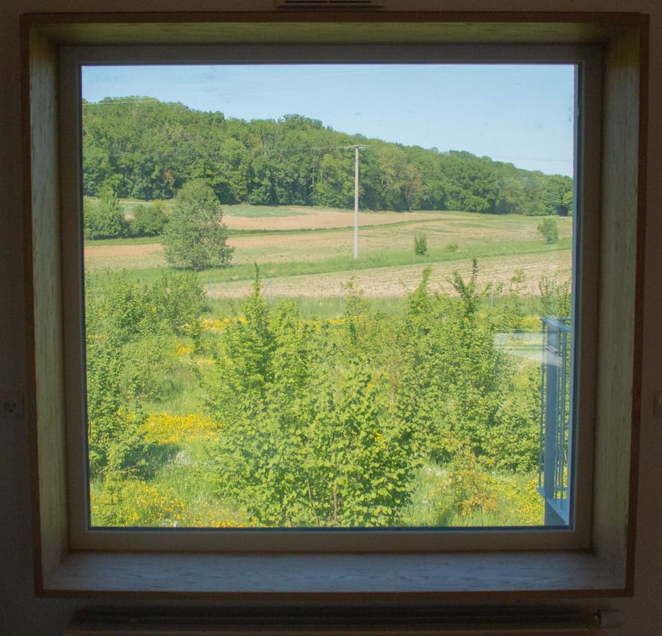 Natural landscape, View (from property/room)