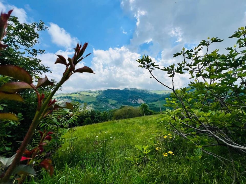 Natural landscape