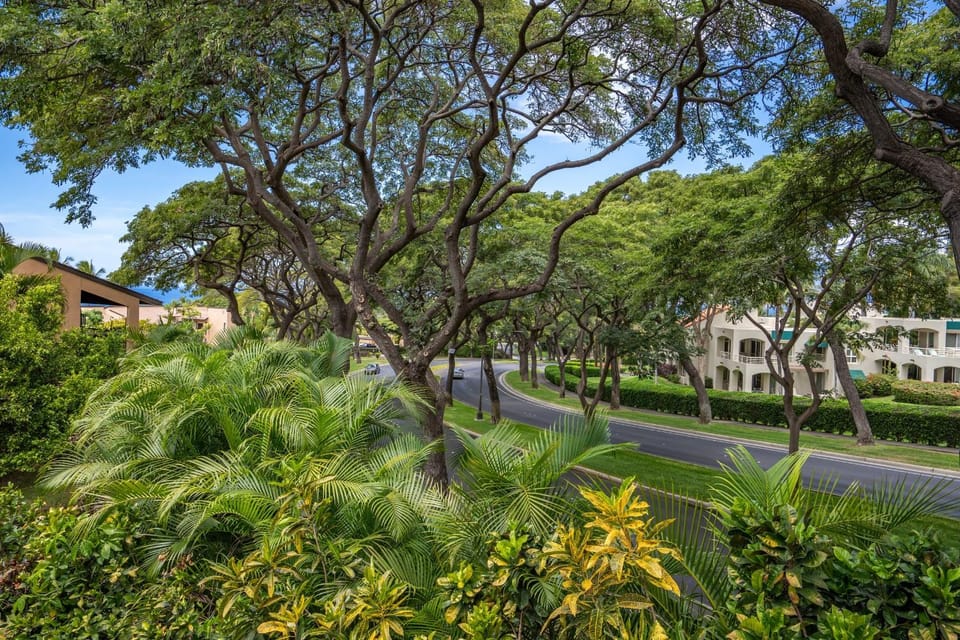 Wailea Ekahi 36E by Coldwell Banker Island Vacations Apartment in Wailea