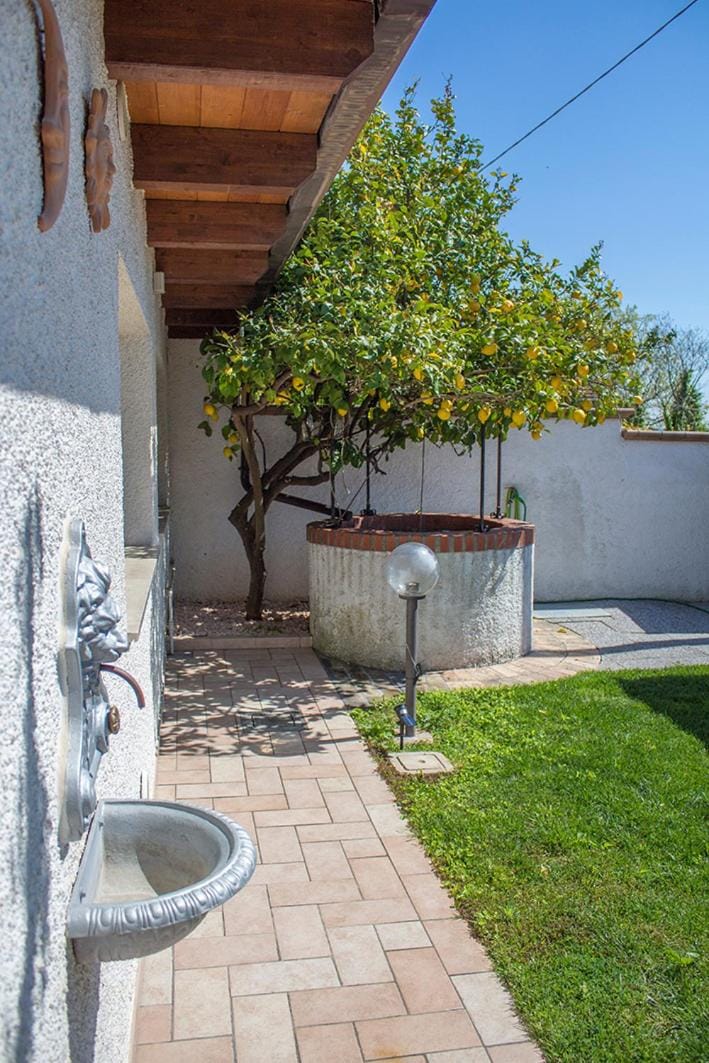 Garden, Garden view