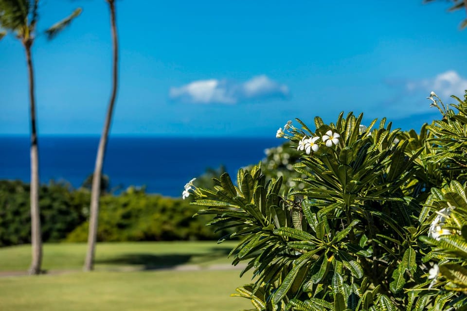 Wailea Ekolu 1510 by Coldwell Banker Island Vacations Apartment in Wailea