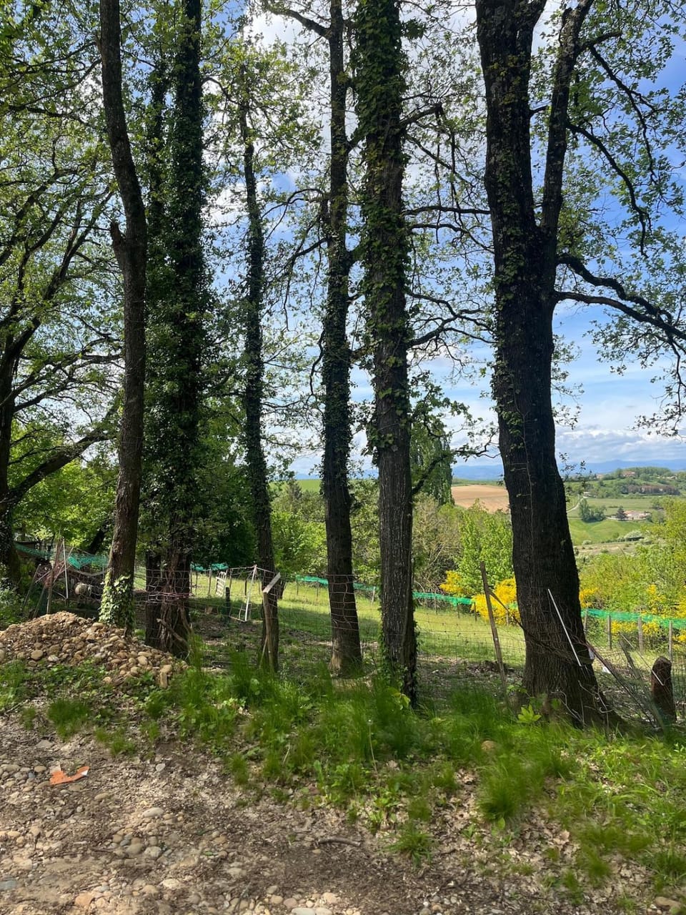Day, Natural landscape