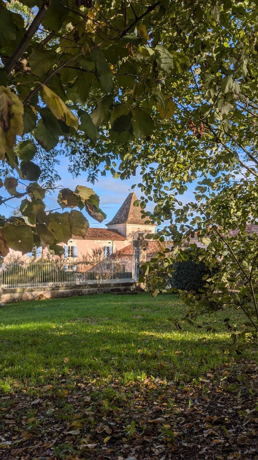 Spring, Natural landscape, Garden, Garden view