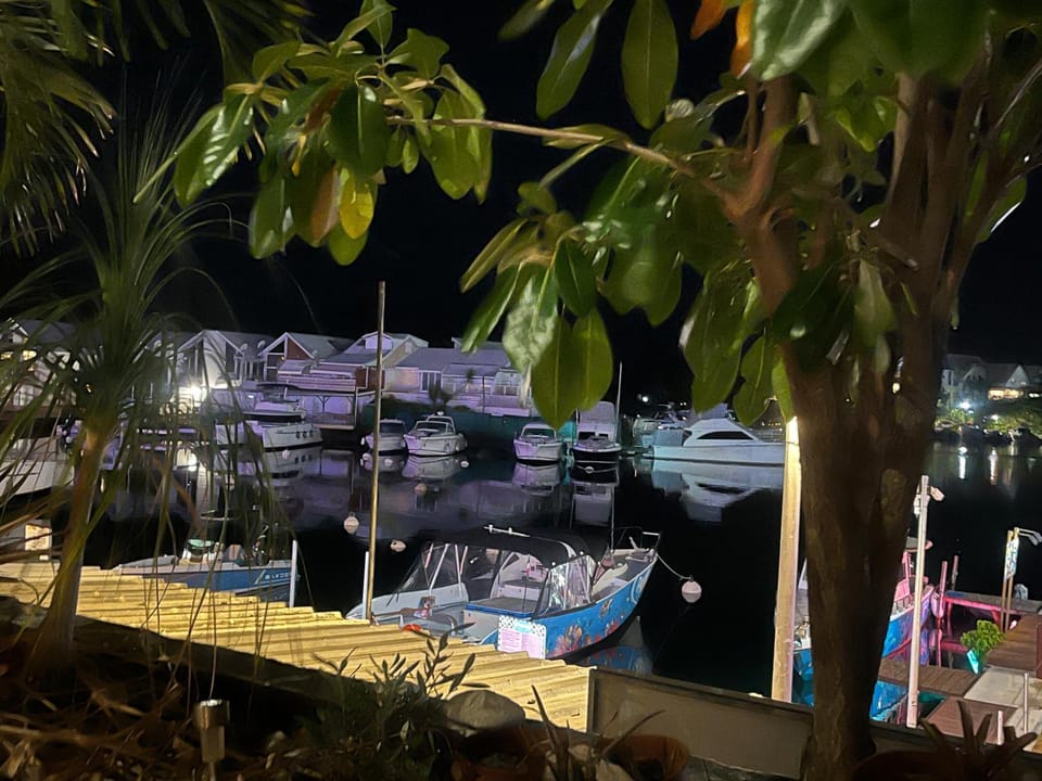 Night, Activities, Text overlay, Lake view