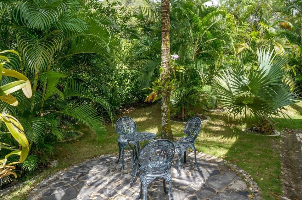 Spring, Natural landscape, Garden, Garden view
