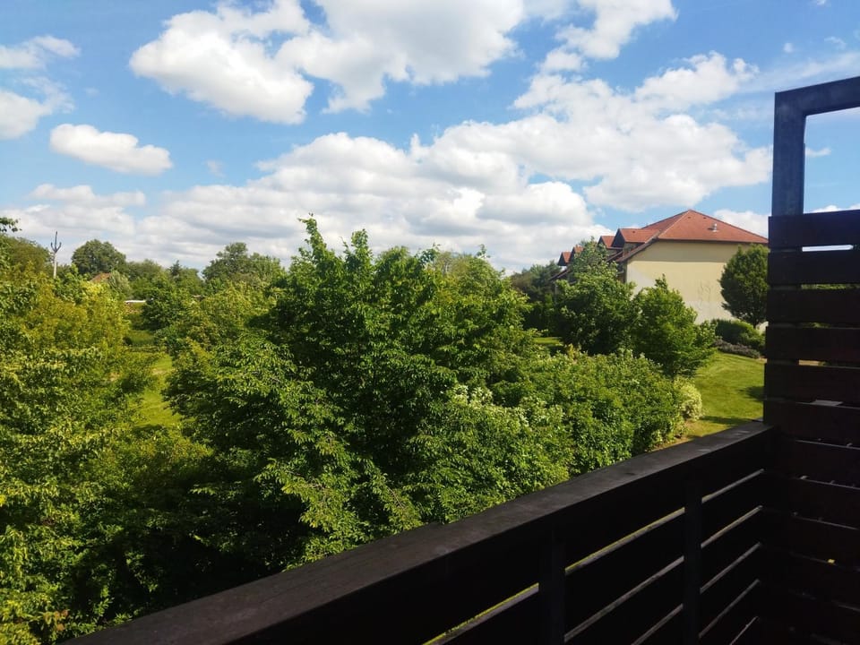 View (from property/room), Balcony/Terrace