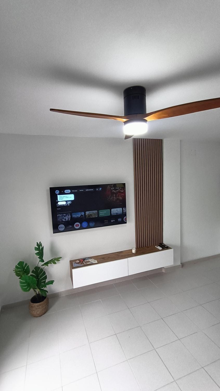 TV and multimedia